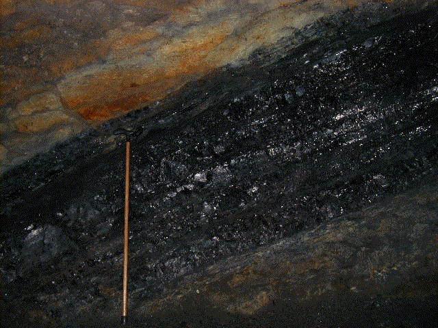 A thin coal, only about 75 cm thick, might still be considered mineable.