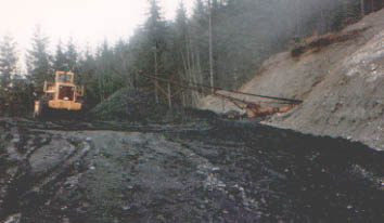 Looking across the mineyard towards the portal